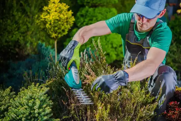 landscaping services Wyoming
